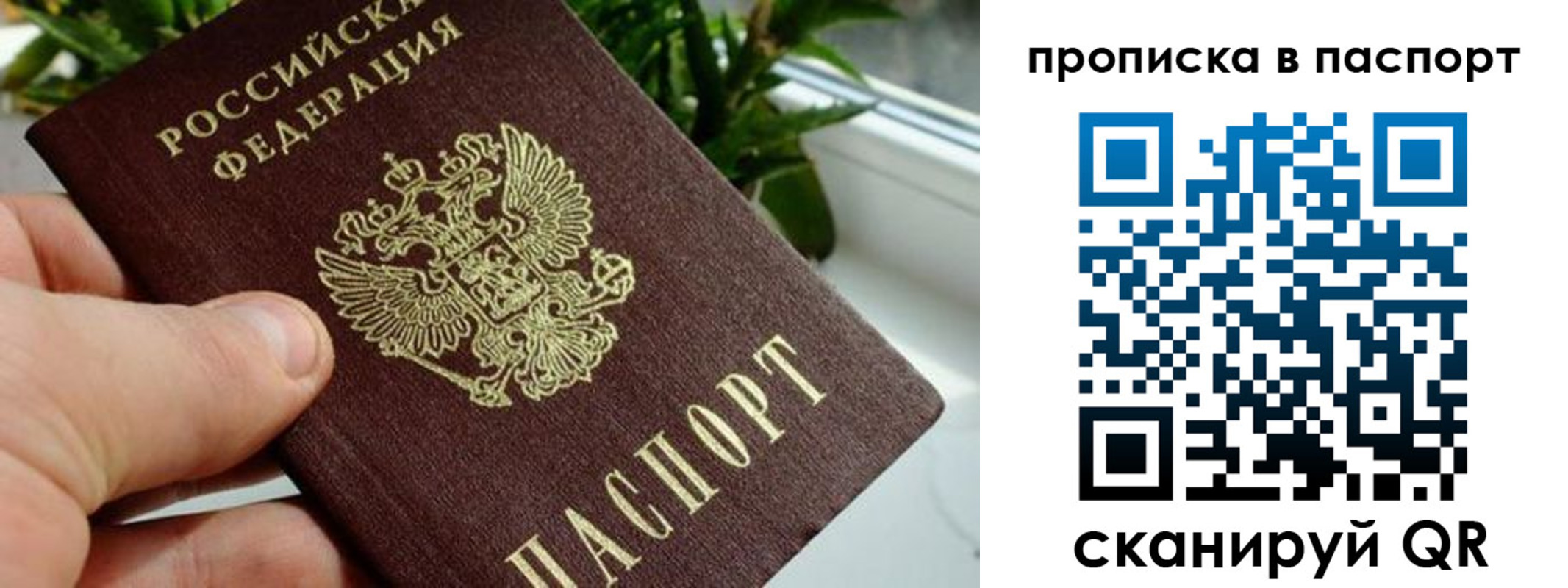 пропишу в квартире в Чапаевске